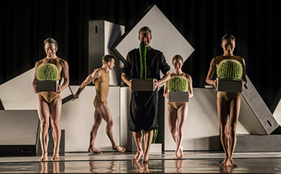 Sydney Dance Company Cacti photo by Peter Greig