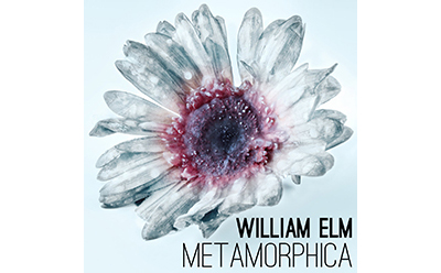 William Elm Metamorphica