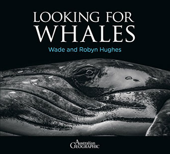 Halstead Press Wade and Robyn Hughes Looking For Whales