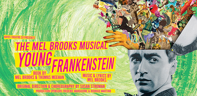 AAR-Hayes-Theatre-Co-Young-Frankenstein