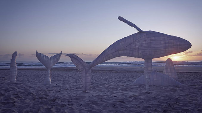 AAR-SWELL-Sculpture-Festival-Sam-Gowing-Whale-Playground-photo-by-Lex-Imagery