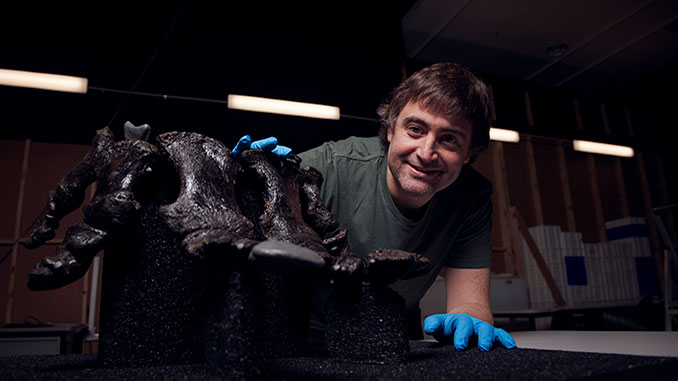 Erich-Fitzgerald-Senior-Curator-of-Vertebrate-Palaeontology-at-Museums-Victoria-with-right-hand-of-Melbourne-Museum-Triceratops-photo-by-Eugene-Hyland