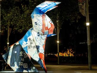 City-of-Sydney-Year-of-the-Rabbit-Lunar-Lantern-kids-competition