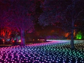 Royal-Botanic-Gardens-Melbourne-Lightscape
